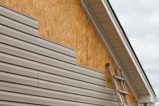 Professional Siding Inspection technician working in Strasburg, VA
